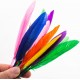 Large colored feathers, 8 pieces per card